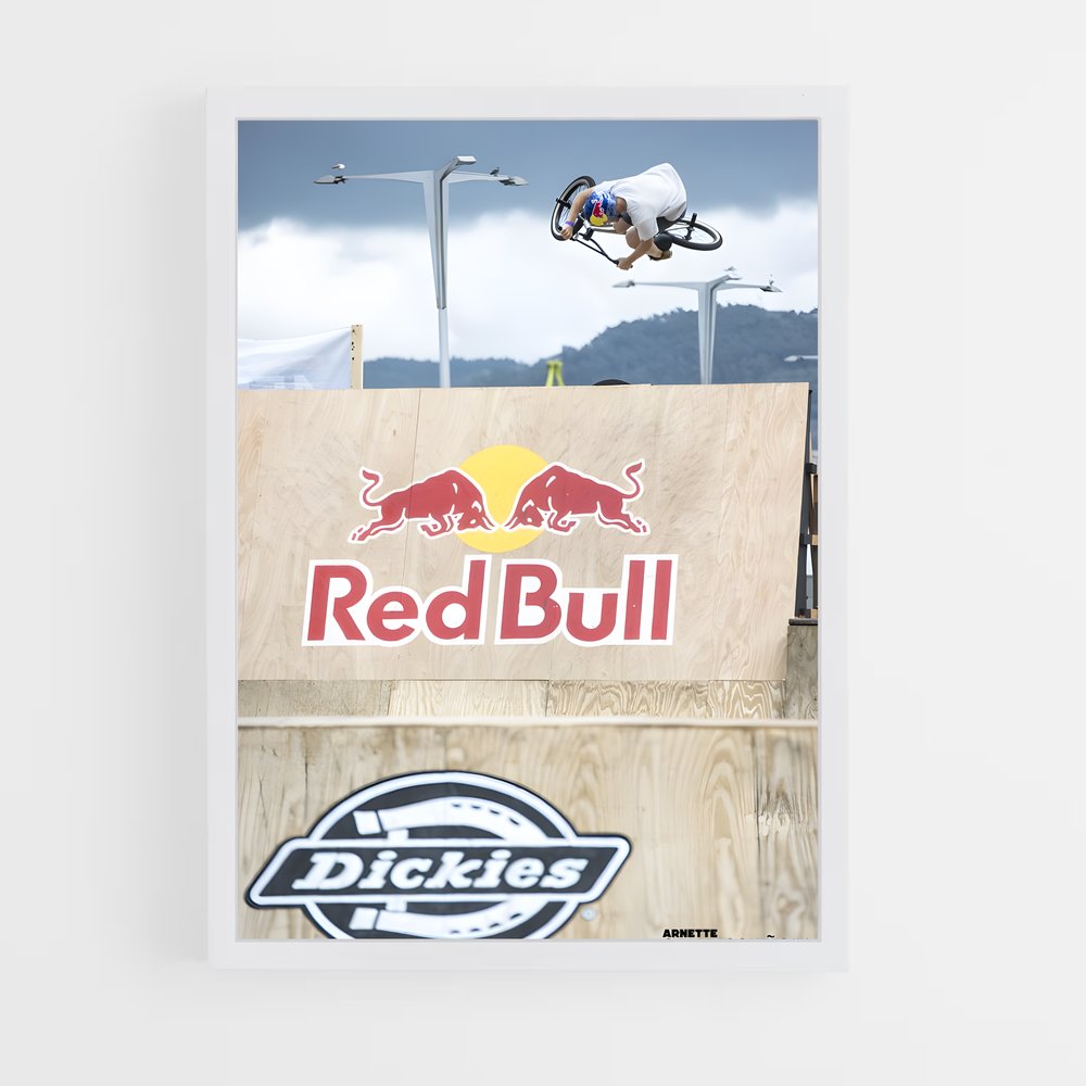 Poster Envol Urbain – affiche BMX (vue 3)